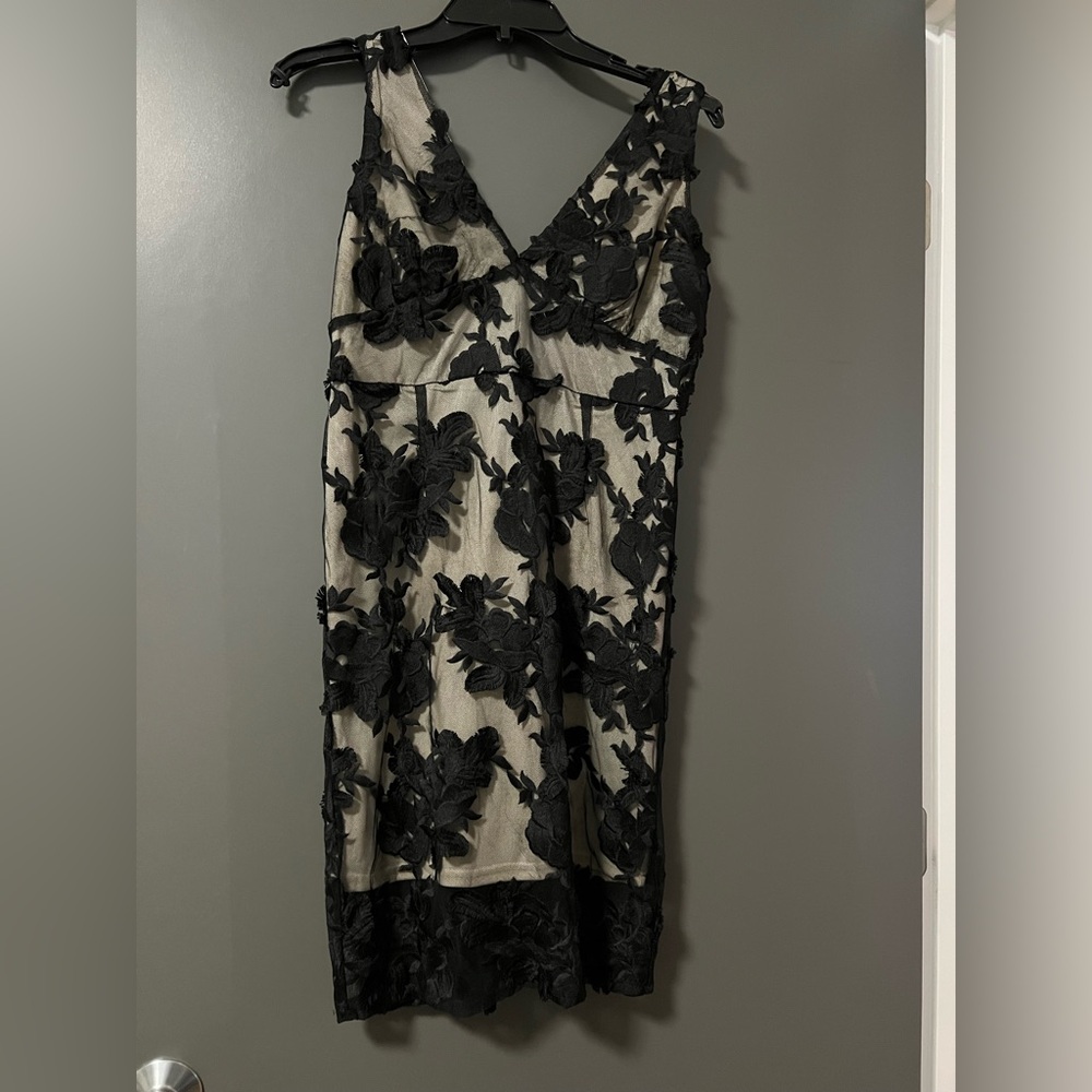 Black Swan Elegant Black Lace Midi Dress
